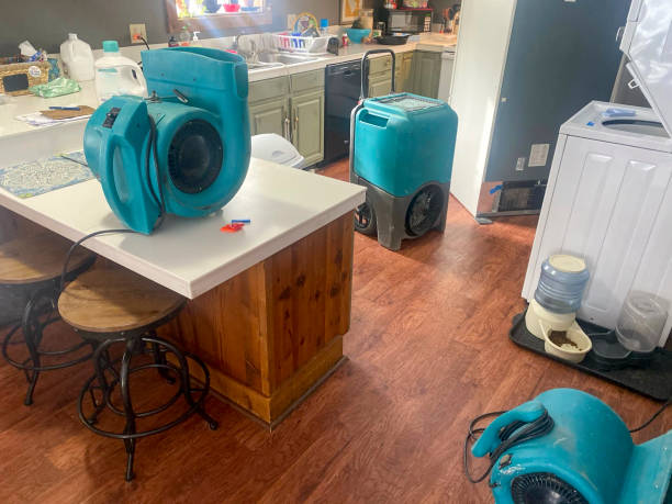 Best Flood damage cleanup  in George West, TX