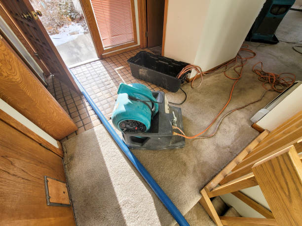 Best Residential water damage restoration  in George West, TX