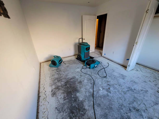 Best Fire Damage Restoration  in George West, TX