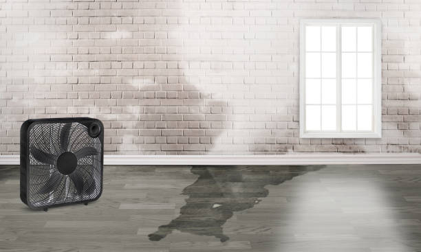 Best Flood restoration services  in George West, TX