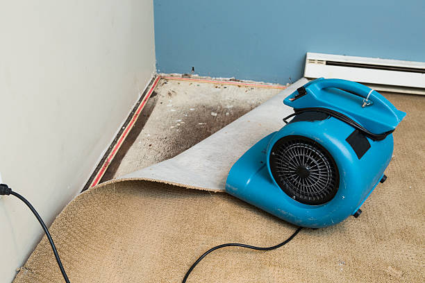 Best Water damage restoration near me  in George West, TX
